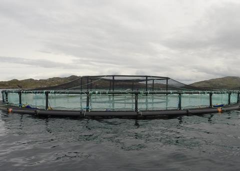 The Oceanflex salmon pens are made from tough polyethylene