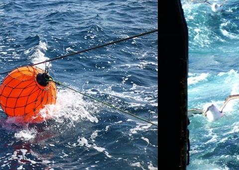 Seabird warp deflectors (pinkies) in action