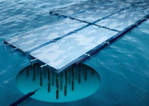 Investors are now in negotiation with Northlight Seafood