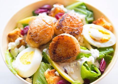 AFMA has approved recommendations for the Bass Strait Central Zone Scallop Fishery Photo: AFMA