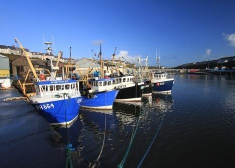 Trawlers at Milford Docks. Credit: Port of Milford Haven