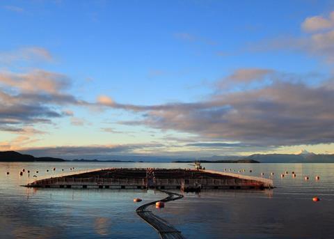 Cermaq farm at Puntas Arenas, Chile. Credit: Cermaq