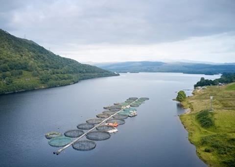 BMT supporting Scottish aquaculture
