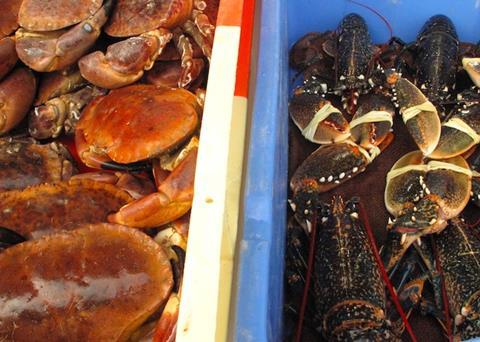 Lords ask for food exports grace period