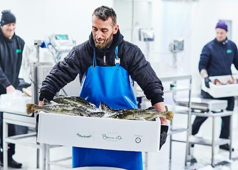 Norcod harvests first cod