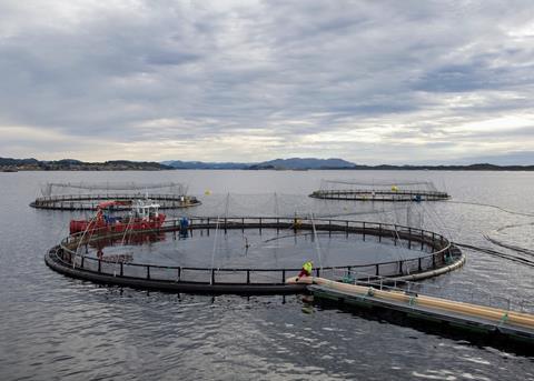 Portal Sheds Light on Norwegian Salmon Farming