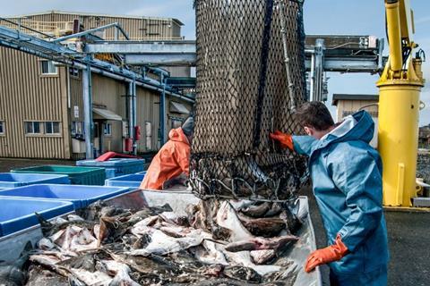 Halibut processing plant, Alaska