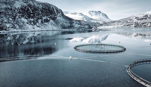 Canadian salmon farming