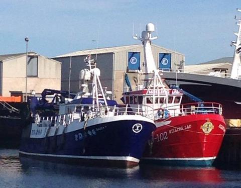 Daisy II and Willing Lad