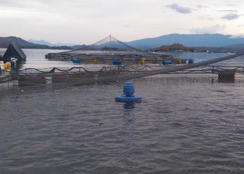 Colombian tilapia reaches new markets