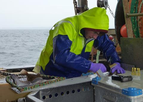 The two year project involved regular observer trips on board local boats and fishermen returning tagged fish Photo: NAFC