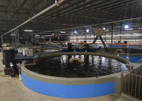 Growth opportunities in the Israeli desert