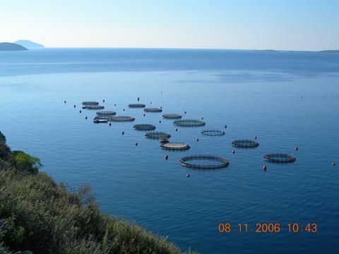 Andromeda says that Dyneema® nets are worth the investment. Picture courtesy of Andromeda