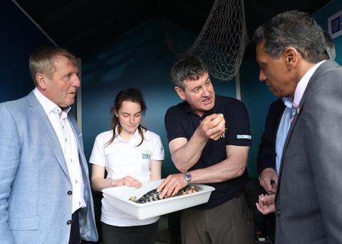 ?35,000 lobsters V-notched every year