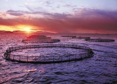 Micanti's Thorn-D prevents macro fouling on fish farm cages. Photo: Marine Harvest/Steinar Johansen