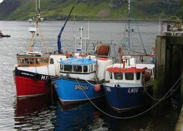 Pilot groups will be able to manage a separate quota of fish. Credit: Wiki/John Allan