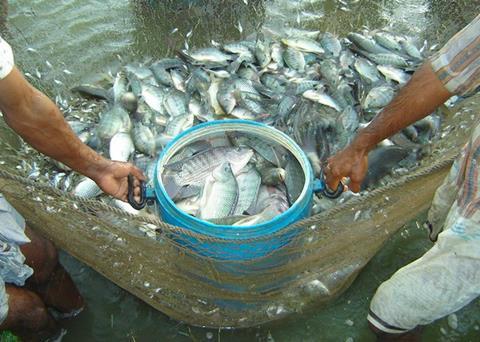Fiji approves MOU with Adelaide University
