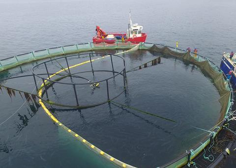 AKVA Group has appointed a new chairman of the board Photo: AKVA Group