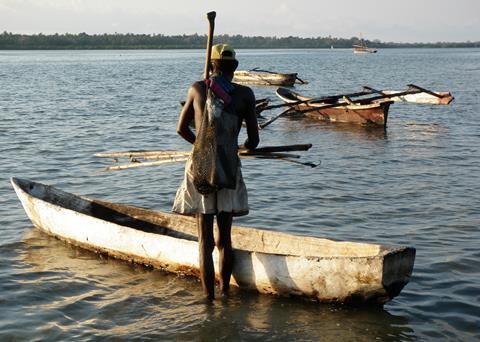 Tanzania’s octopus fishery is one of two pilot fisheries improvement projects in East Africa