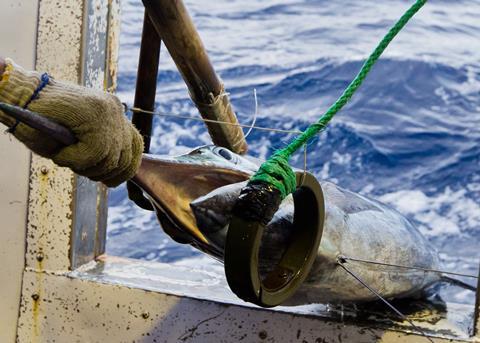 Tuna stocks and communities in the region are suffering due to illegal fishing. Photo: Paul Hilton/Greenpeace