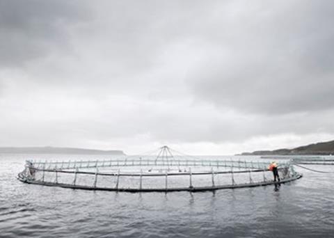 Fish farming
