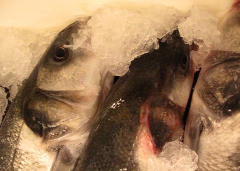 UK seafood exports hit border turmoil