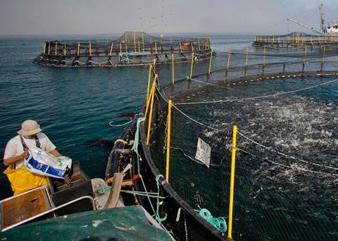 Farming offshore in the Americas