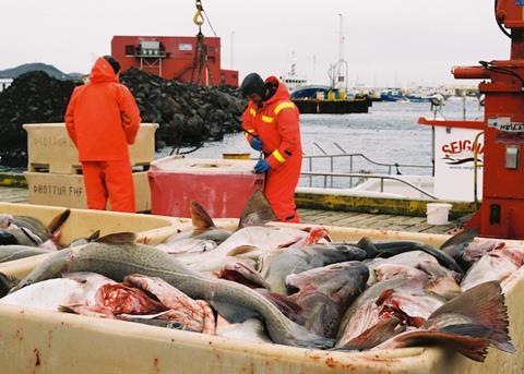 The new plant will utilise fish skin to manufacture marine collagen for global nutraceutical markets