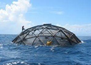 The FAO paper looks at potential offshore mariculture development
