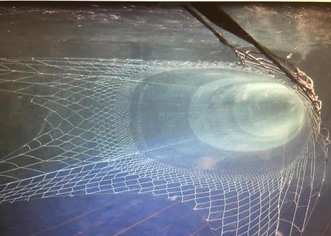 SNG: Trawling for success