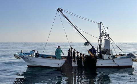 ASC-MSC Seaweed Certification