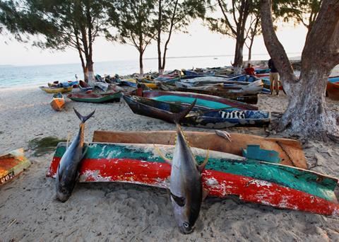 Fish is a key part of the Mozambique diet. Credit: Steve Evans from Citizen of the World/CC BY 2.0