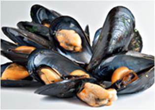 Around 70 people in south east England have reported shellfish poisoning symptoms