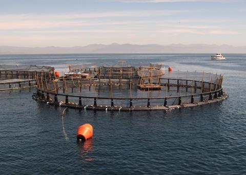 OMC Asia: tackling the shift to offshore