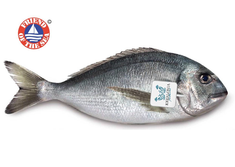 Kefalonia Fisheries has been certified by Friend of the Sea