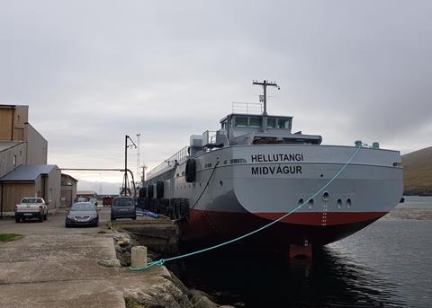 Salmon Aquaculture: cleaning up the sea lice