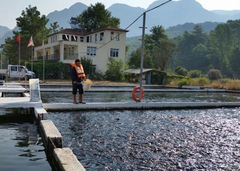 The first trout farm in Turkey has become ASC certified