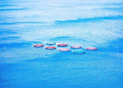 Hatch has assembled an advisory board for the first ever aquaculture seed fund Photo: Hatch