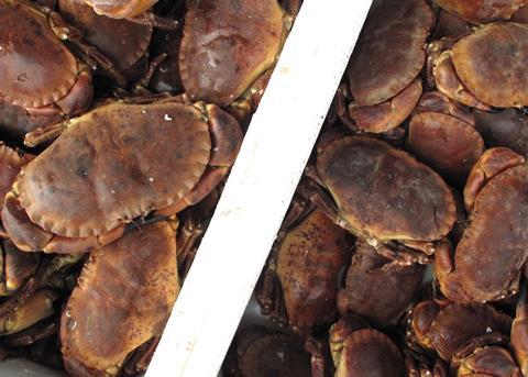 Support promised for UK seafood exporters