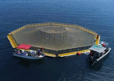 Innovasea has welcomed the authorisation of finfish mariculture in federal waters Photo: Innovasea