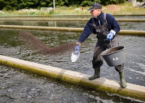 Aller Aqua is to start showing the carbon footprint of its European-produced feed Photo: Aller Aqua