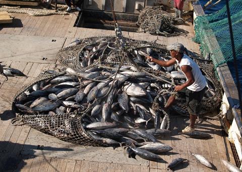 A commercial fishing haul in the Pacific Island nation of Kiribati. Credit: AusAID/CC BY 2.0