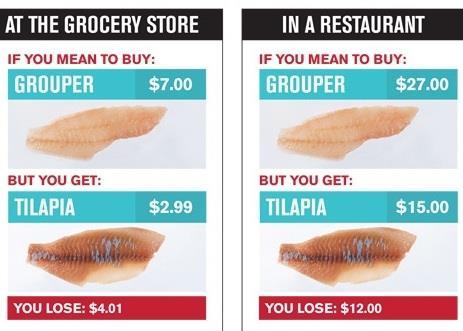 Example price differences for commonly swapped species (8oz fillets)