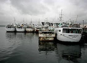 WWF: Subsidies are only justifiable if they help to end overfishing and stimulate the sustainable management of fisheries. © Brent Stirton / Getty Images / WWF-UK