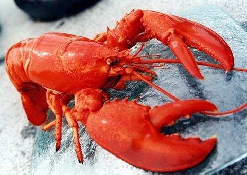 The first whole lobster has been certified by the Marine Stewardship Council (MSC)