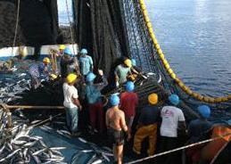 The final goal of iMarine is to launch an initiative aimed at establishing and operating an einfrastructure supporting the principles of the Ecosystem Approach to fisheries management and conservation of marine living resources