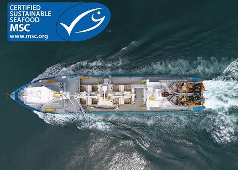 Atlantic Menhaden gets MSC Certification