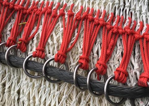 ?Irish fleet does well in albacore season