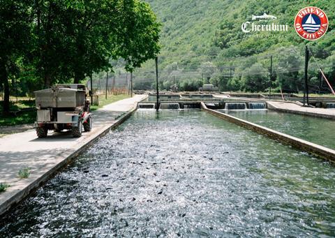 Troticoltura Cherubini achieves Friend of the Sea certification