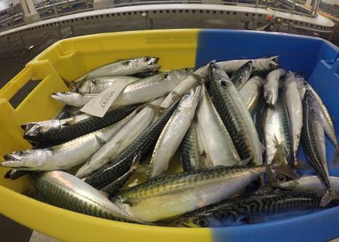 A recent study has shown that Scottish pelagic fish have a low carbon footprint